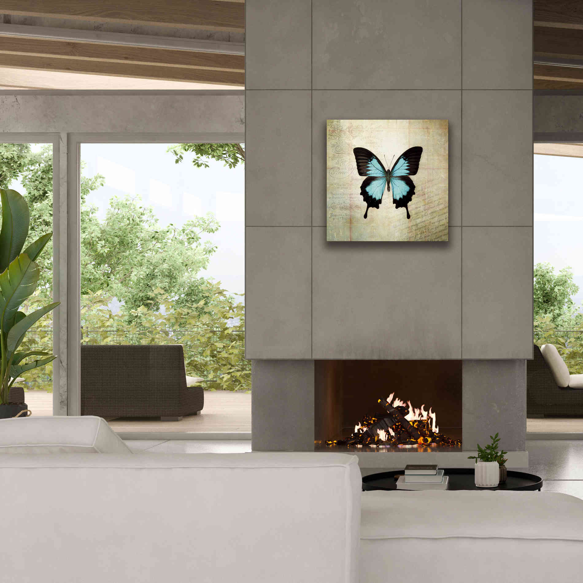 'French Butterfly III' by Debra Van Swearingen, Canvas Wall Art,26 x 26