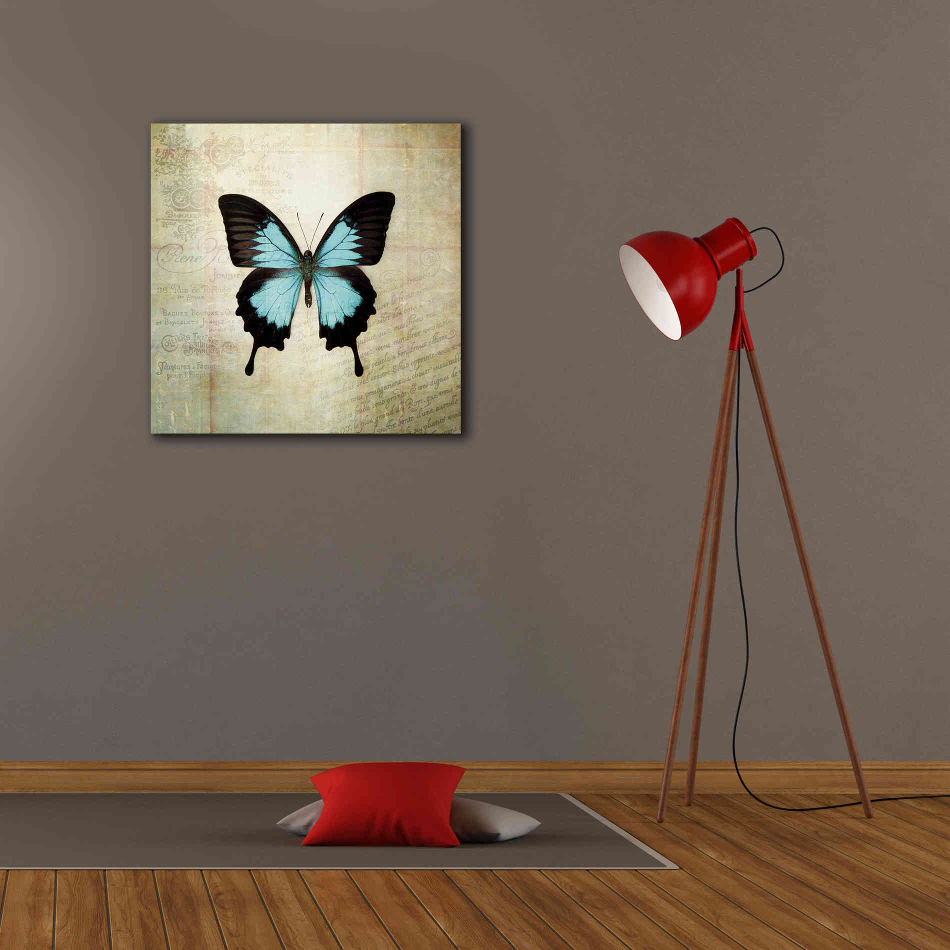 'French Butterfly III' by Debra Van Swearingen, Canvas Wall Art,26 x 26