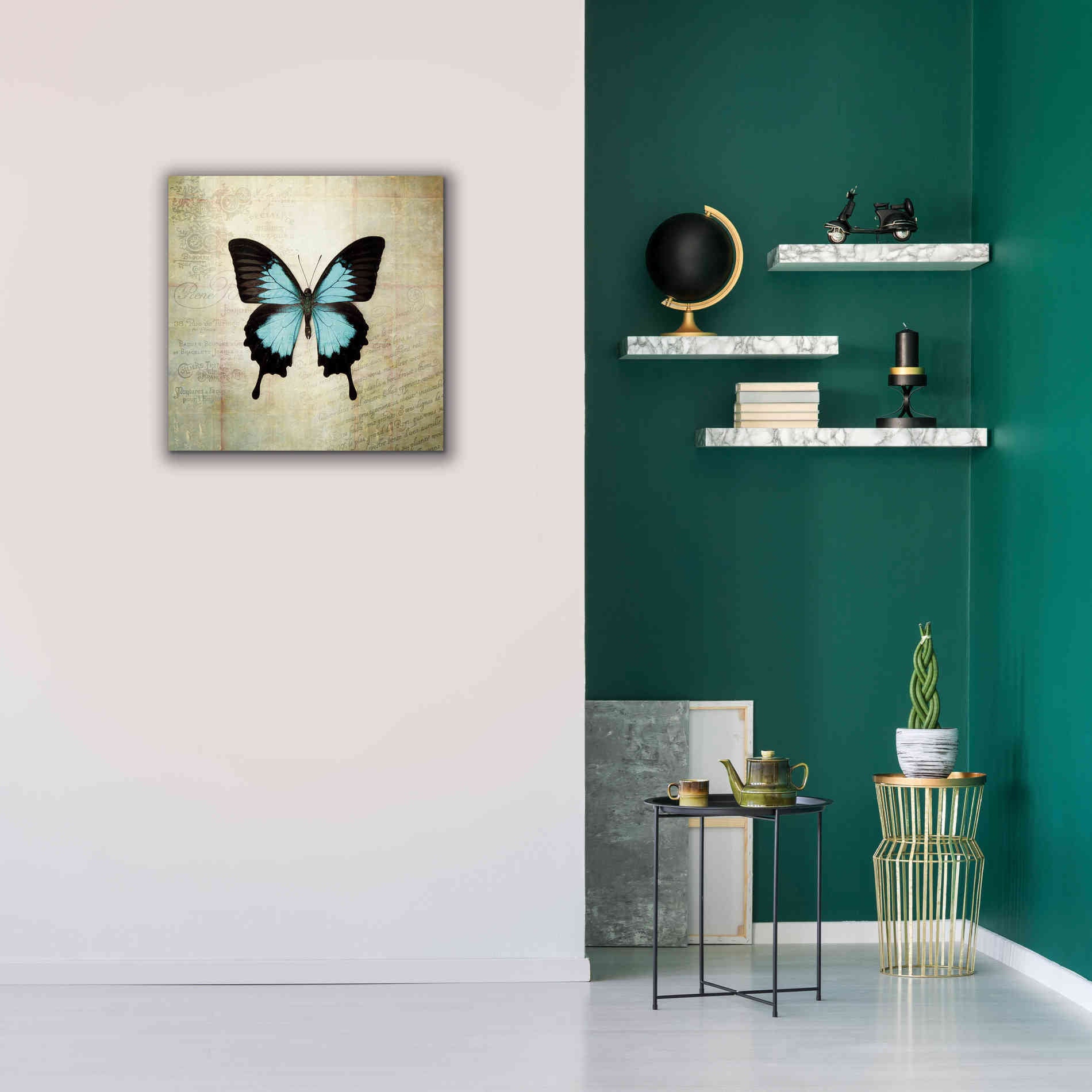 'French Butterfly III' by Debra Van Swearingen, Canvas Wall Art,26 x 26
