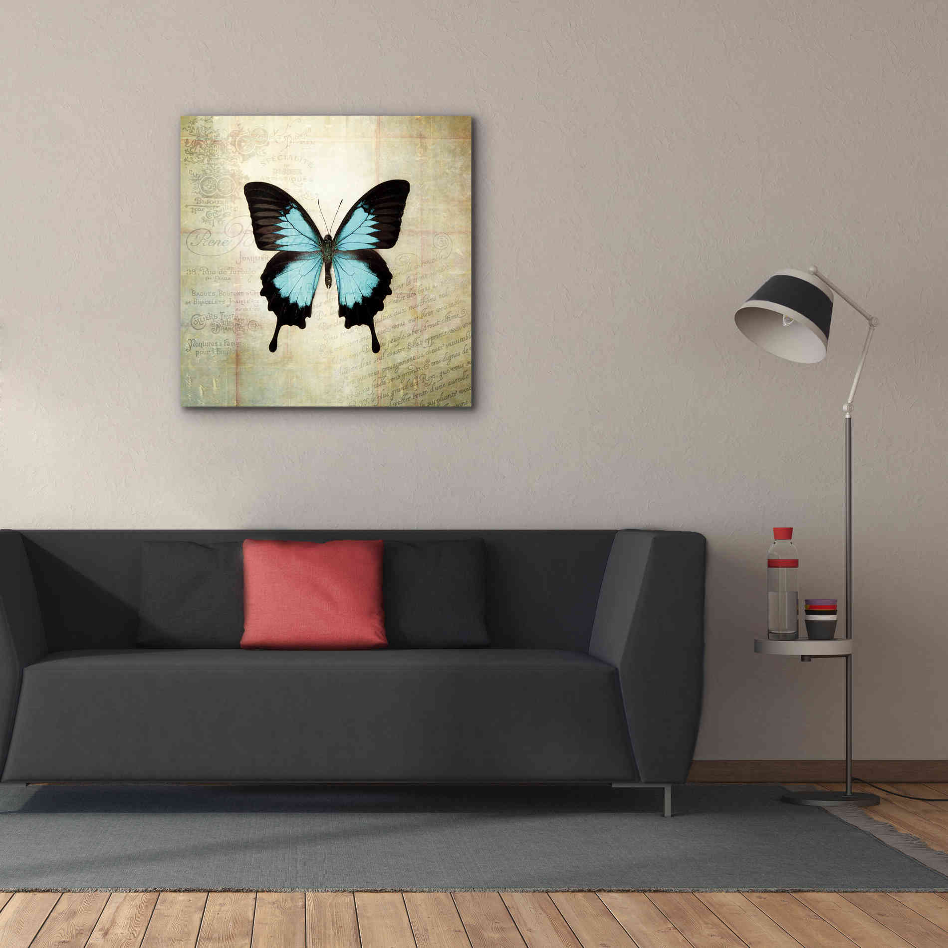 'French Butterfly III' by Debra Van Swearingen, Canvas Wall Art,37 x 37
