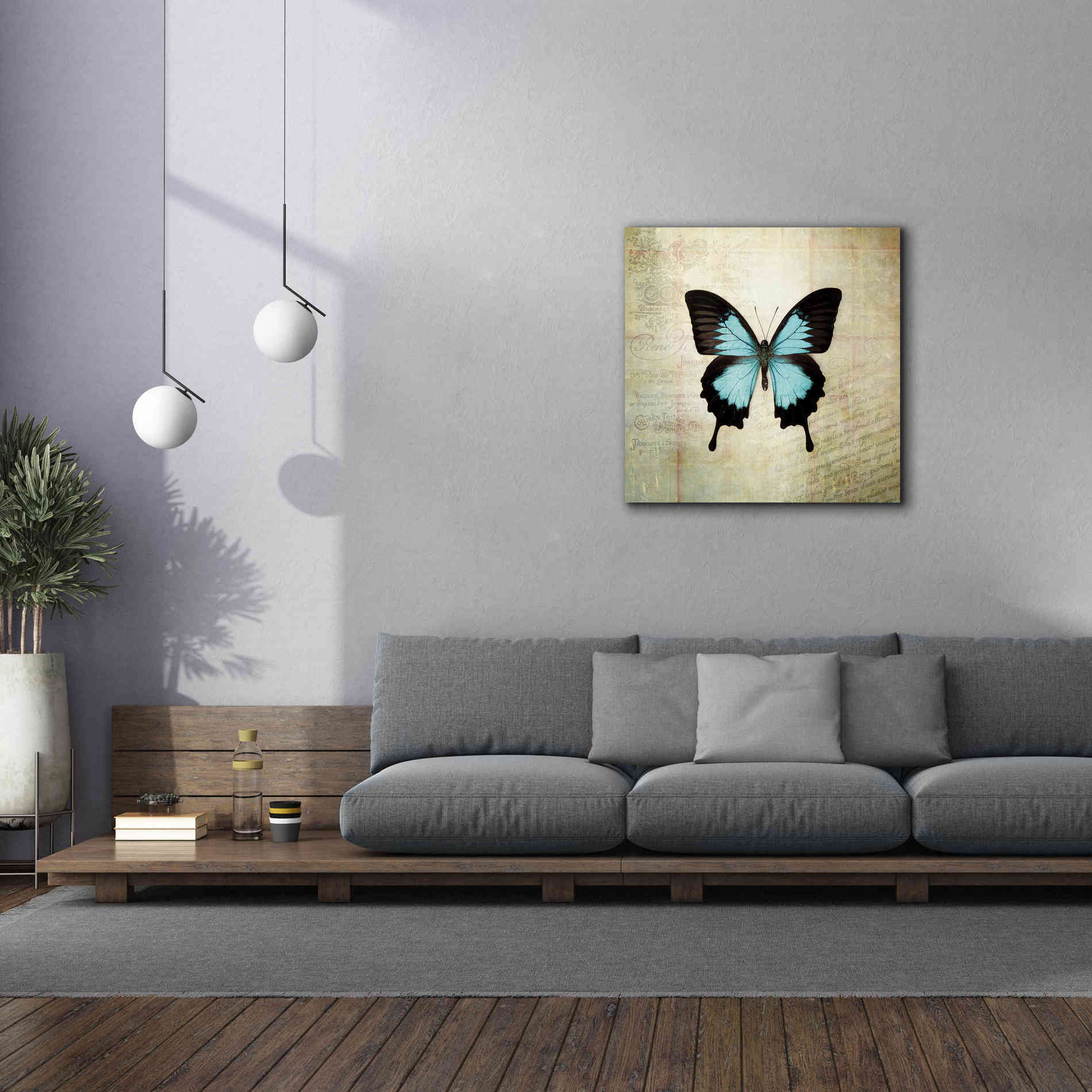 'French Butterfly III' by Debra Van Swearingen, Canvas Wall Art,37 x 37