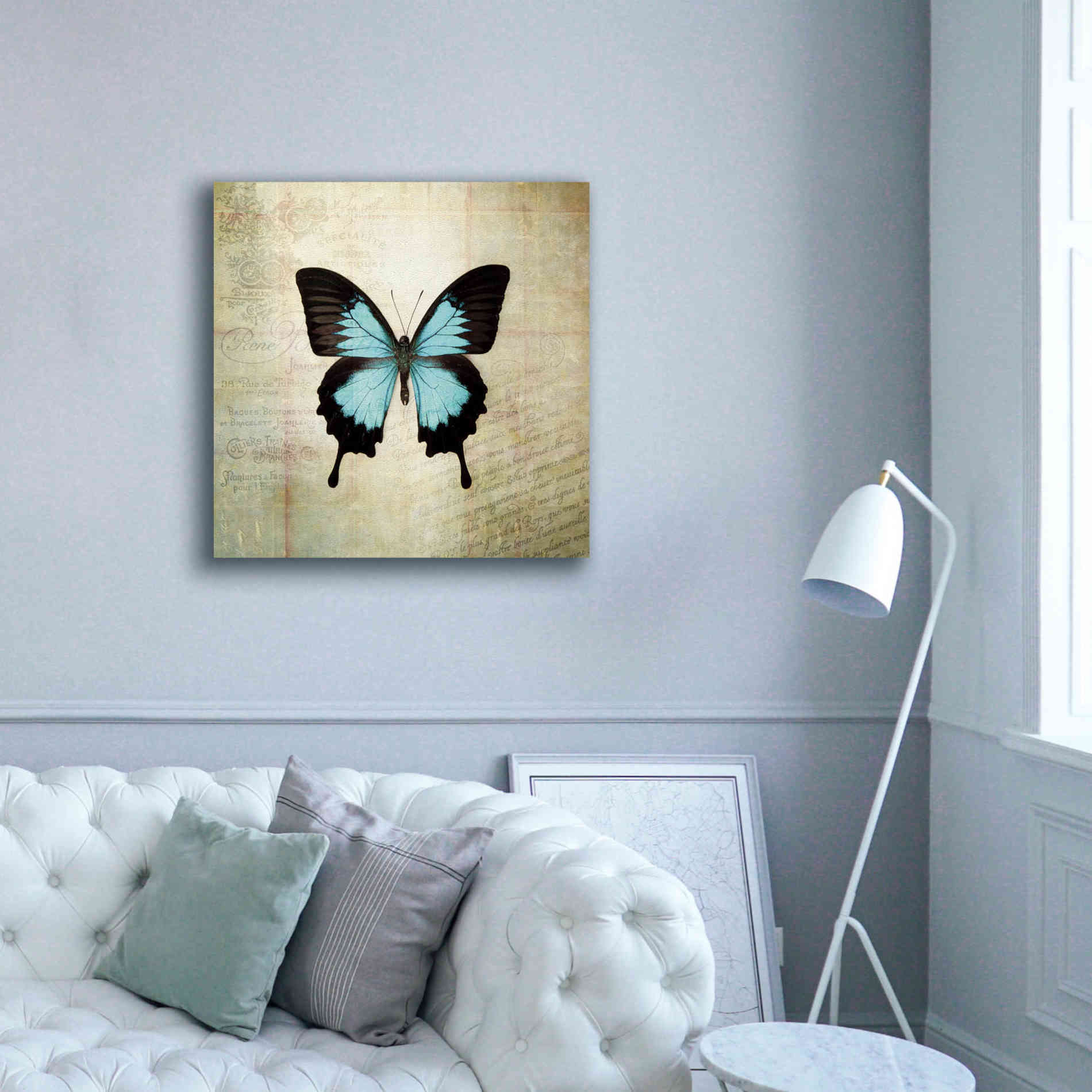 'French Butterfly III' by Debra Van Swearingen, Canvas Wall Art,37 x 37