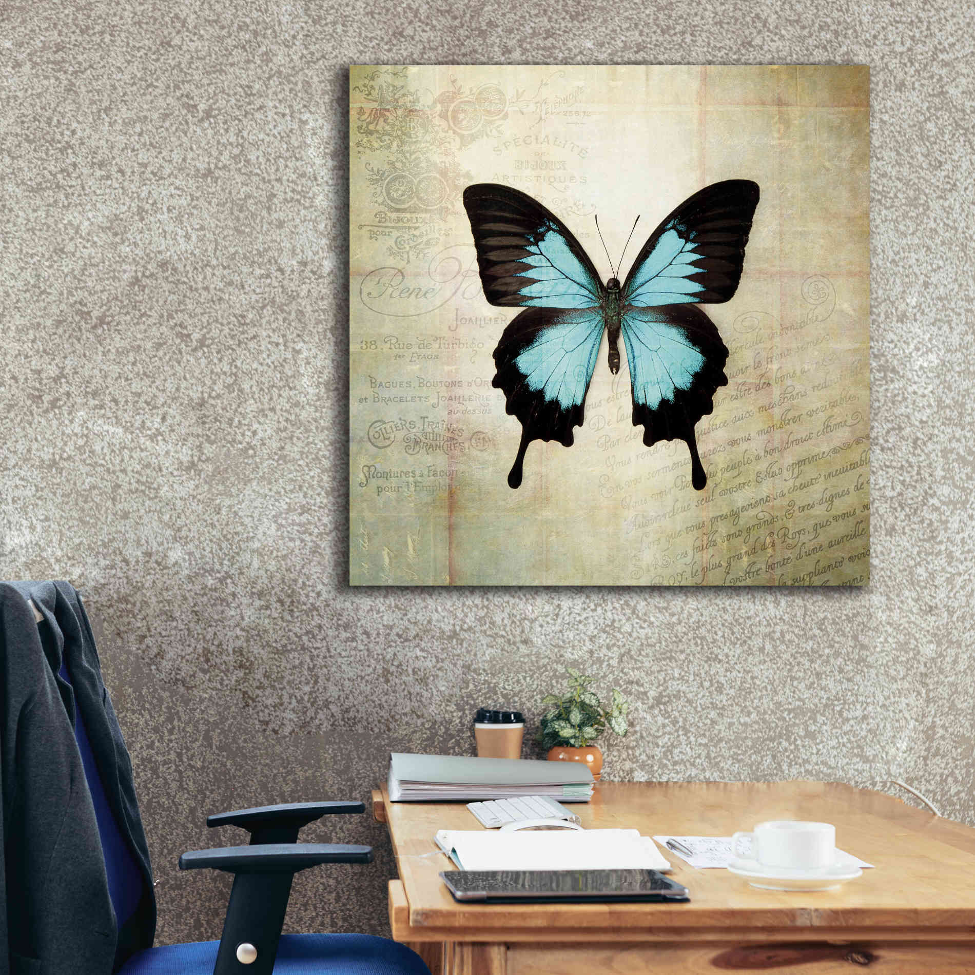 'French Butterfly III' by Debra Van Swearingen, Canvas Wall Art,37 x 37