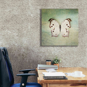 'French Butterfly IV' by Debra Van Swearingen, Canvas Wall Art,26 x 26