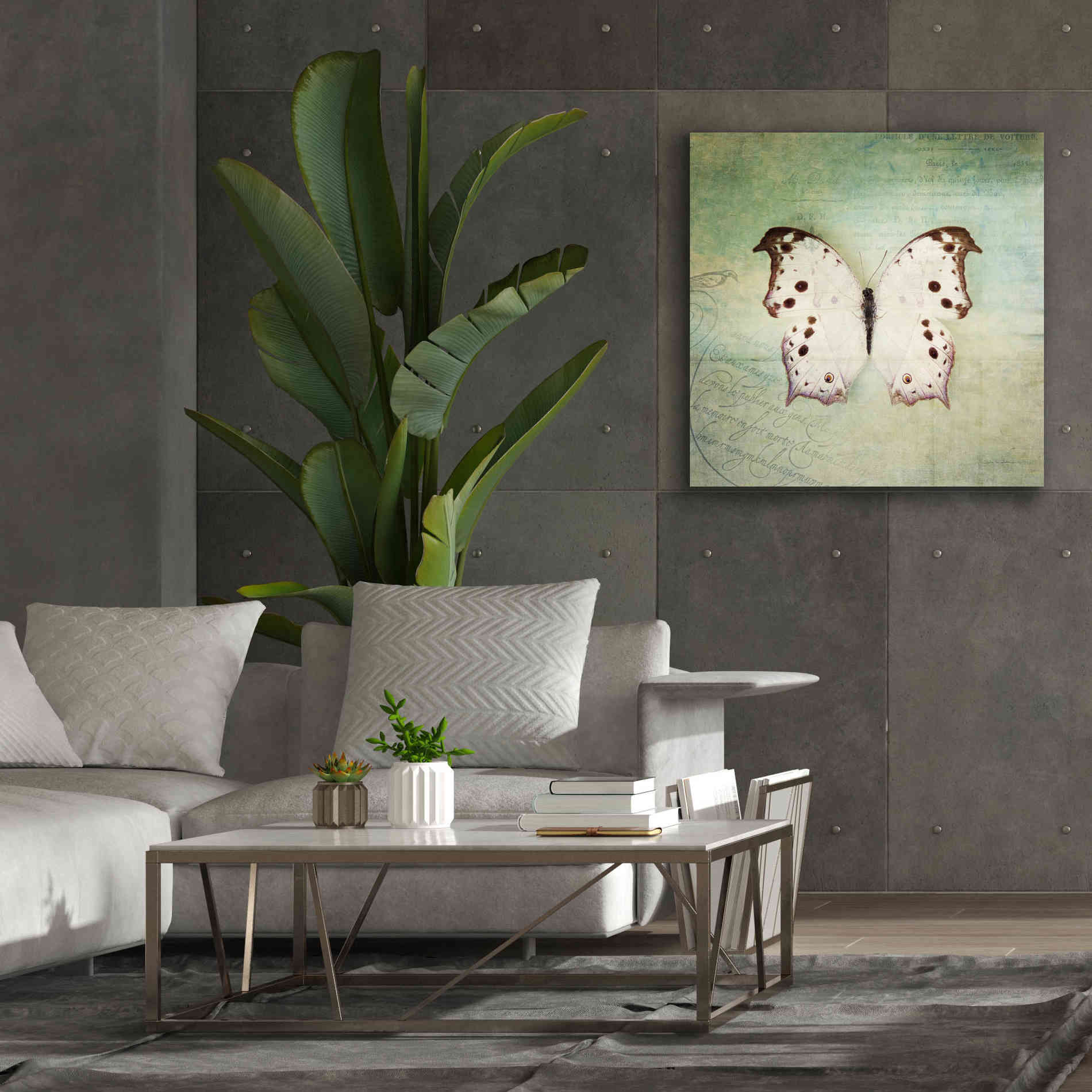 'French Butterfly IV' by Debra Van Swearingen, Canvas Wall Art,37 x 37