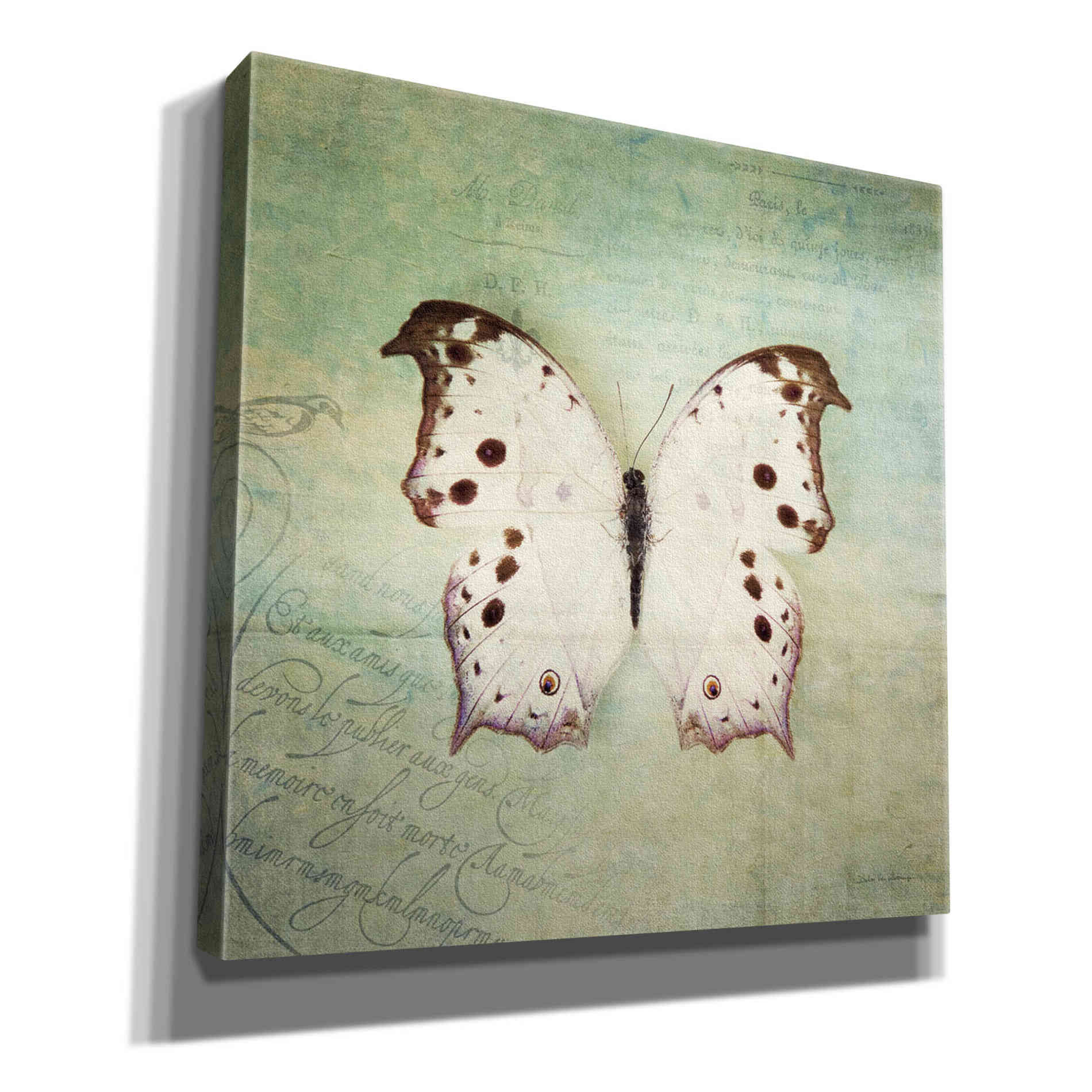'French Butterfly IV' by Debra Van Swearingen, Canvas Wall Art,12x12x1.1x0,18x18x1.1x0,26x26x1.74x0,37x37x1.74x0