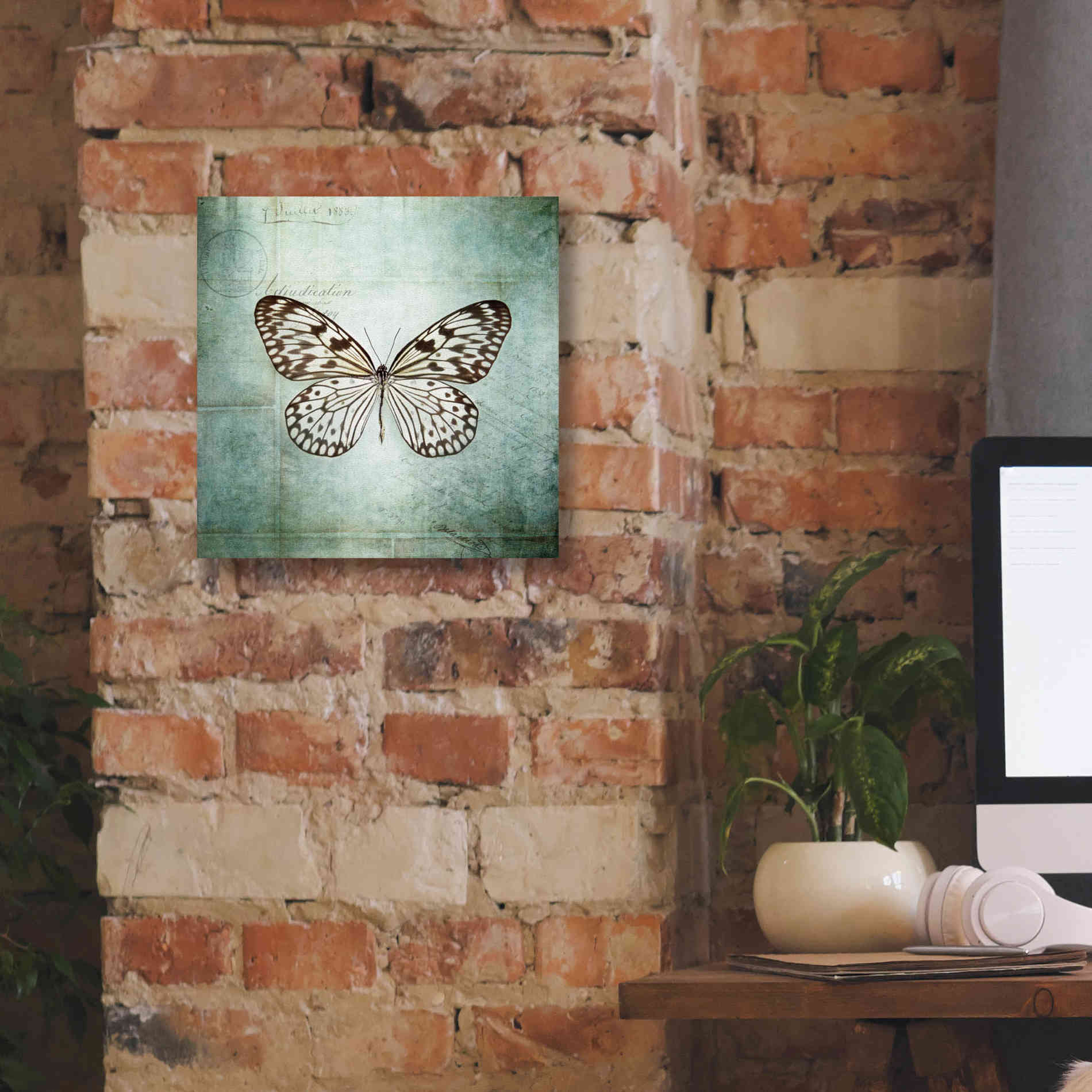 'French Butterfly V' by Debra Van Swearingen, Canvas Wall Art,12 x 12
