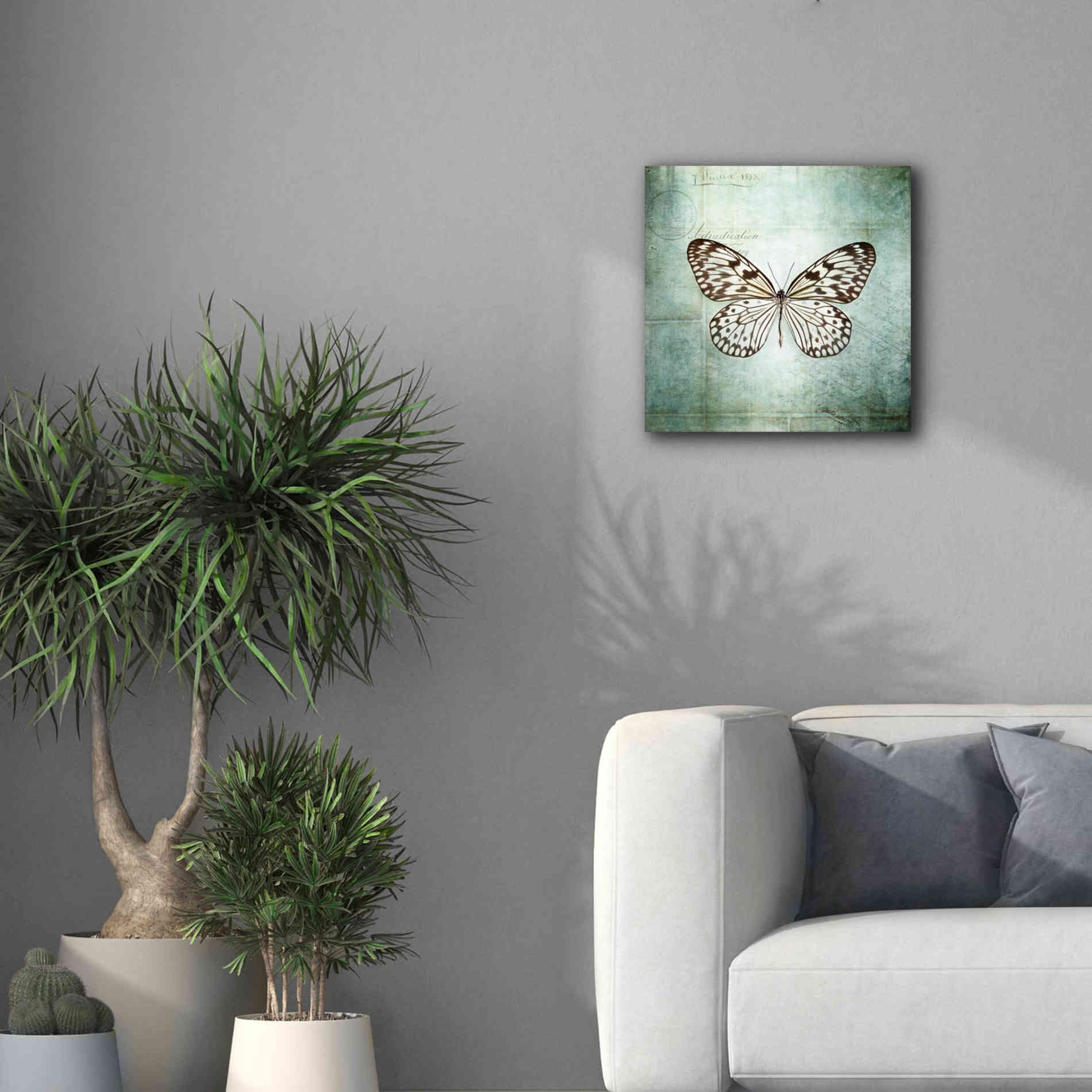 'French Butterfly V' by Debra Van Swearingen, Canvas Wall Art,18 x 18