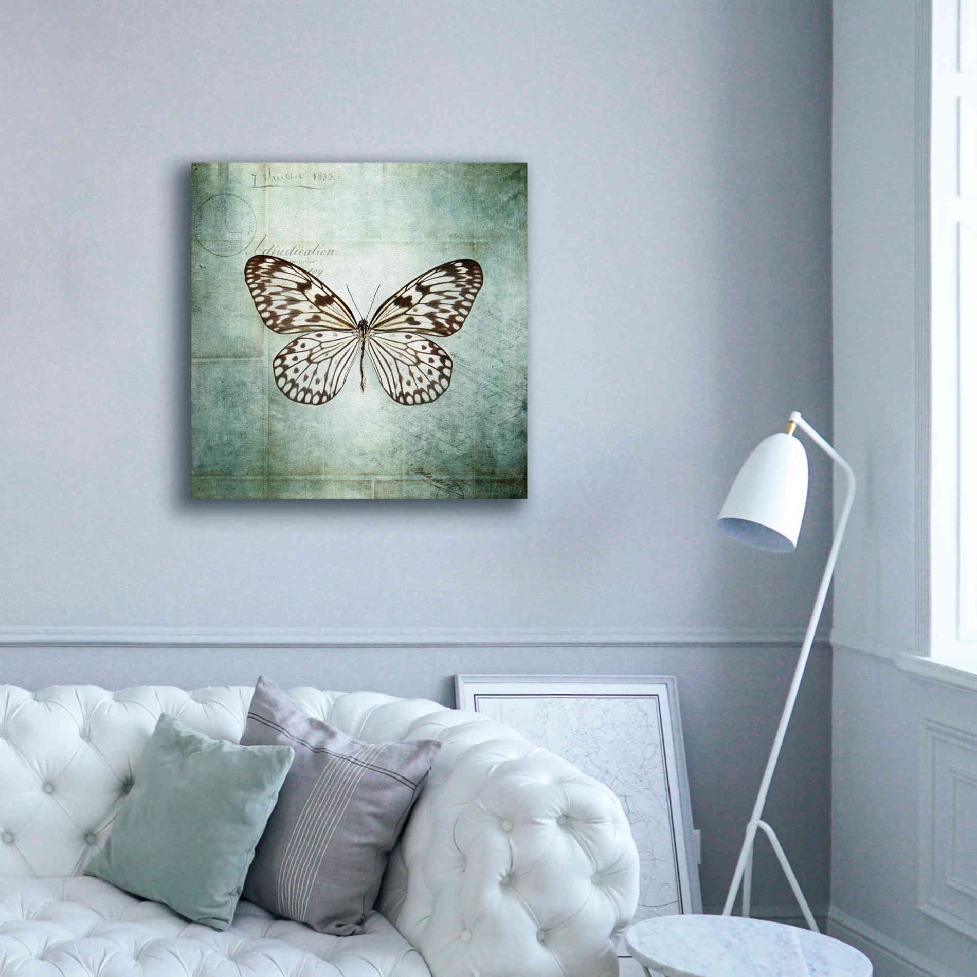'French Butterfly V' by Debra Van Swearingen, Canvas Wall Art,37 x 37
