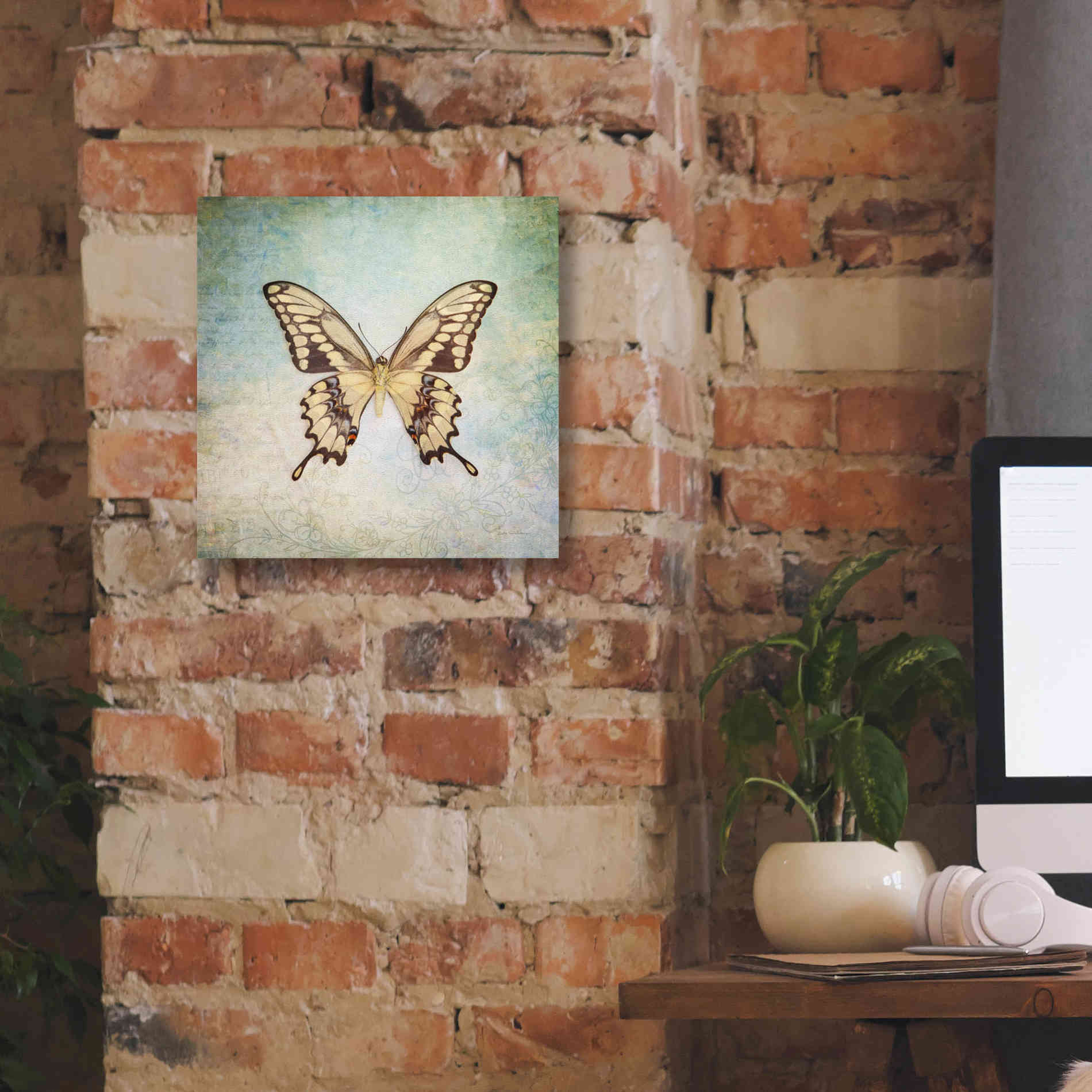 'French Butterfly VI' by Debra Van Swearingen, Canvas Wall Art,12 x 12