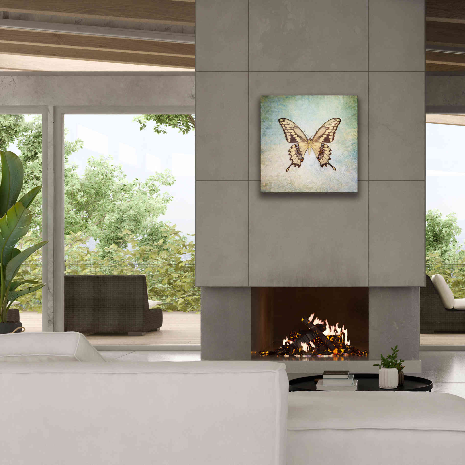 'French Butterfly VI' by Debra Van Swearingen, Canvas Wall Art,26 x 26
