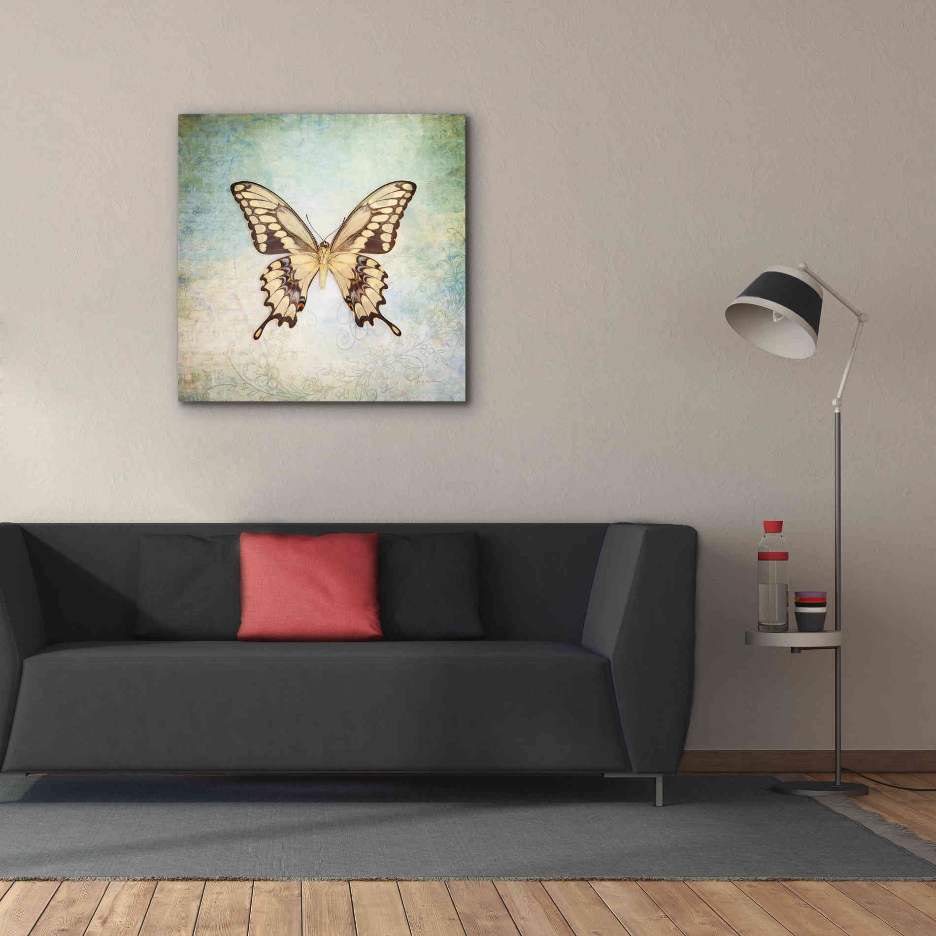 'French Butterfly VI' by Debra Van Swearingen, Canvas Wall Art,37 x 37