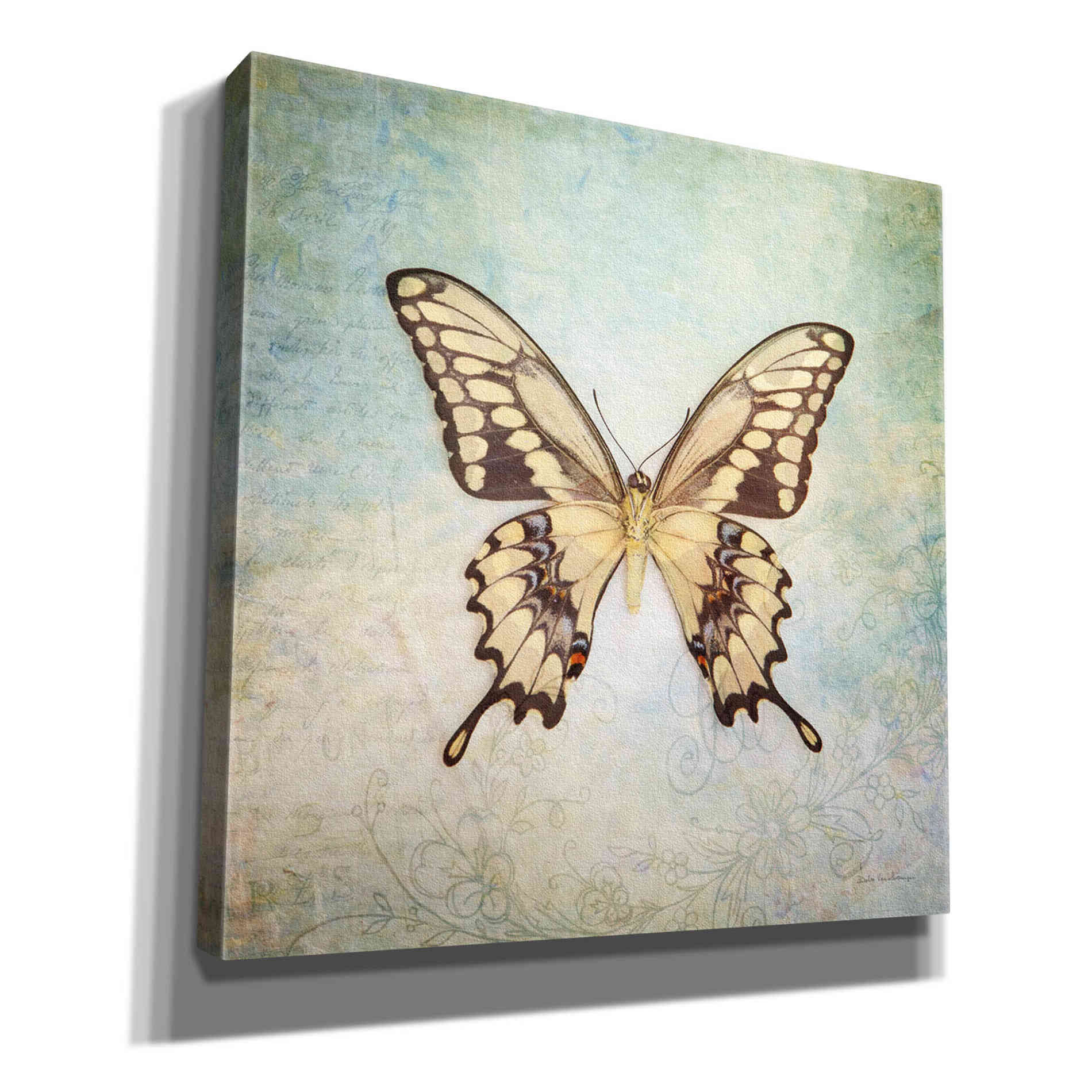'French Butterfly VI' by Debra Van Swearingen, Canvas Wall Art,12x12x1.1x0,18x18x1.1x0,26x26x1.74x0,37x37x1.74x0