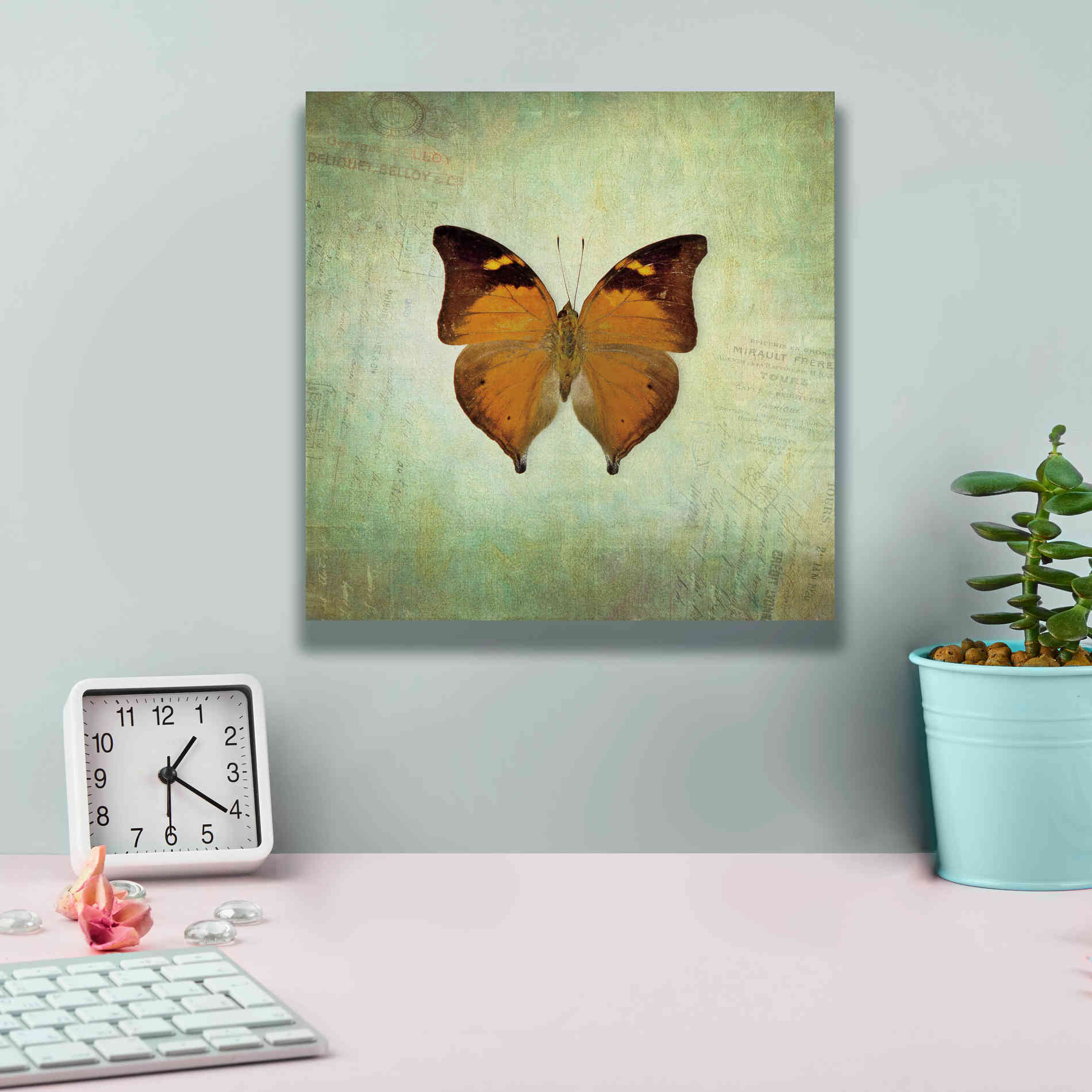 'French Butterfly VII' by Debra Van Swearingen, Canvas Wall Art,12 x 12