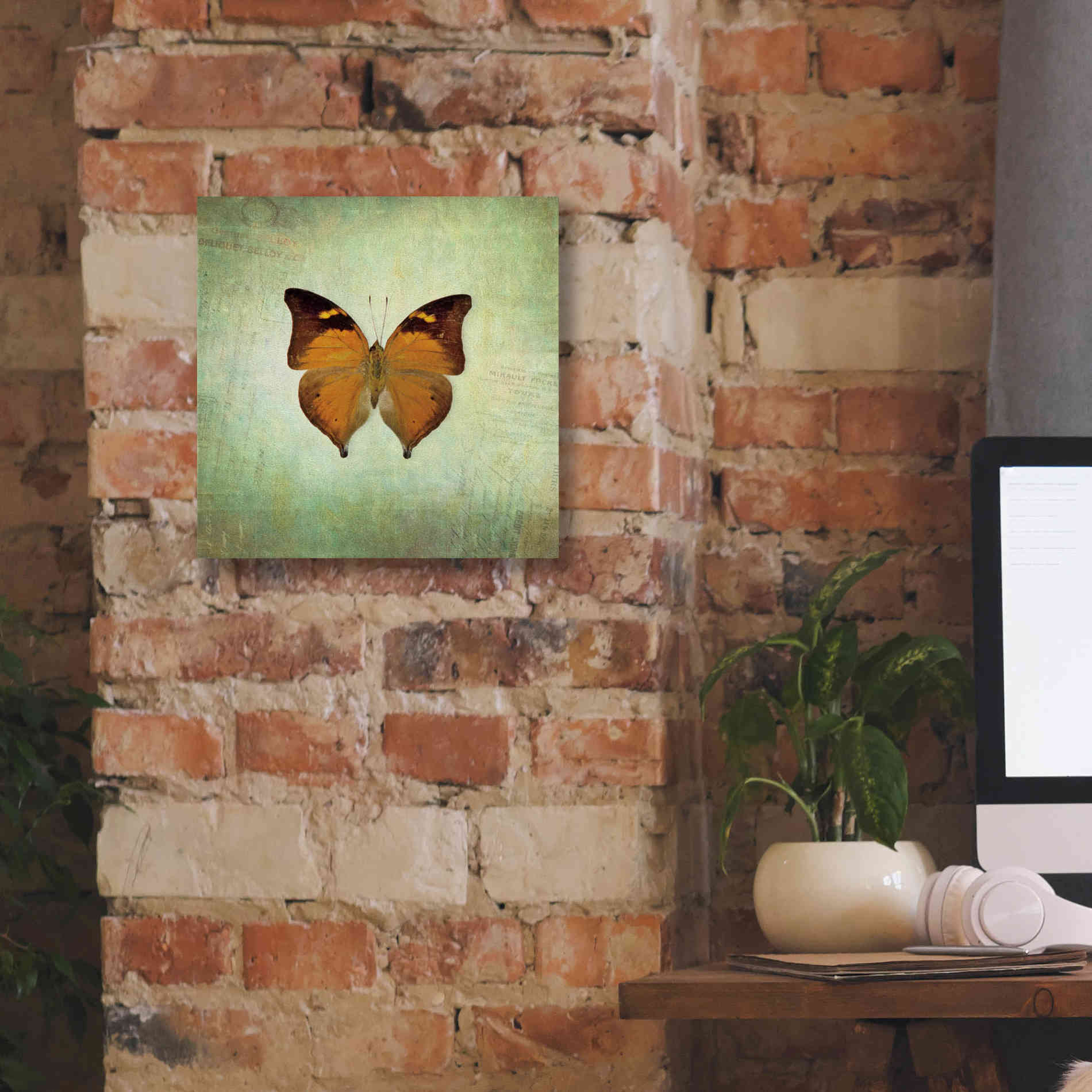 'French Butterfly VII' by Debra Van Swearingen, Canvas Wall Art,12 x 12