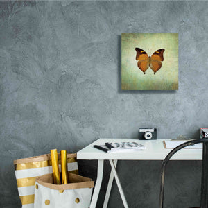 'French Butterfly VII' by Debra Van Swearingen, Canvas Wall Art,12 x 12