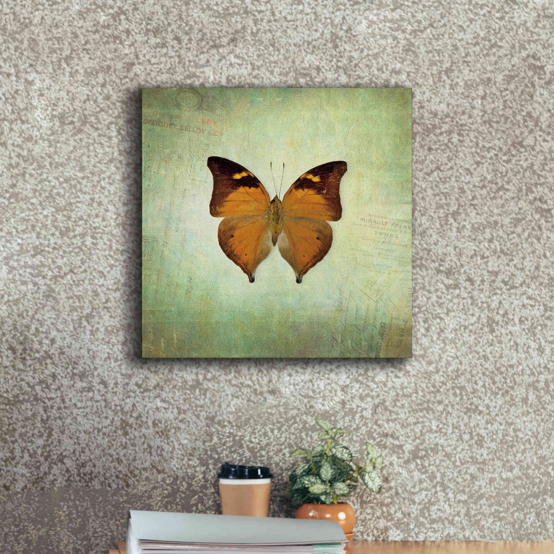 'French Butterfly VII' by Debra Van Swearingen, Canvas Wall Art,18 x 18