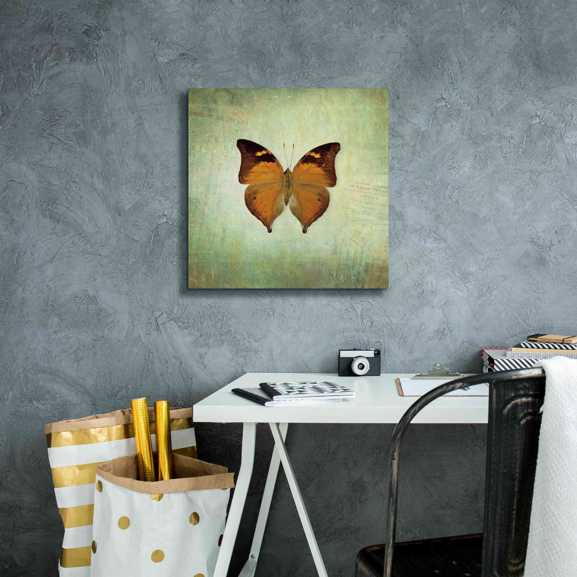 'French Butterfly VII' by Debra Van Swearingen, Canvas Wall Art,18 x 18