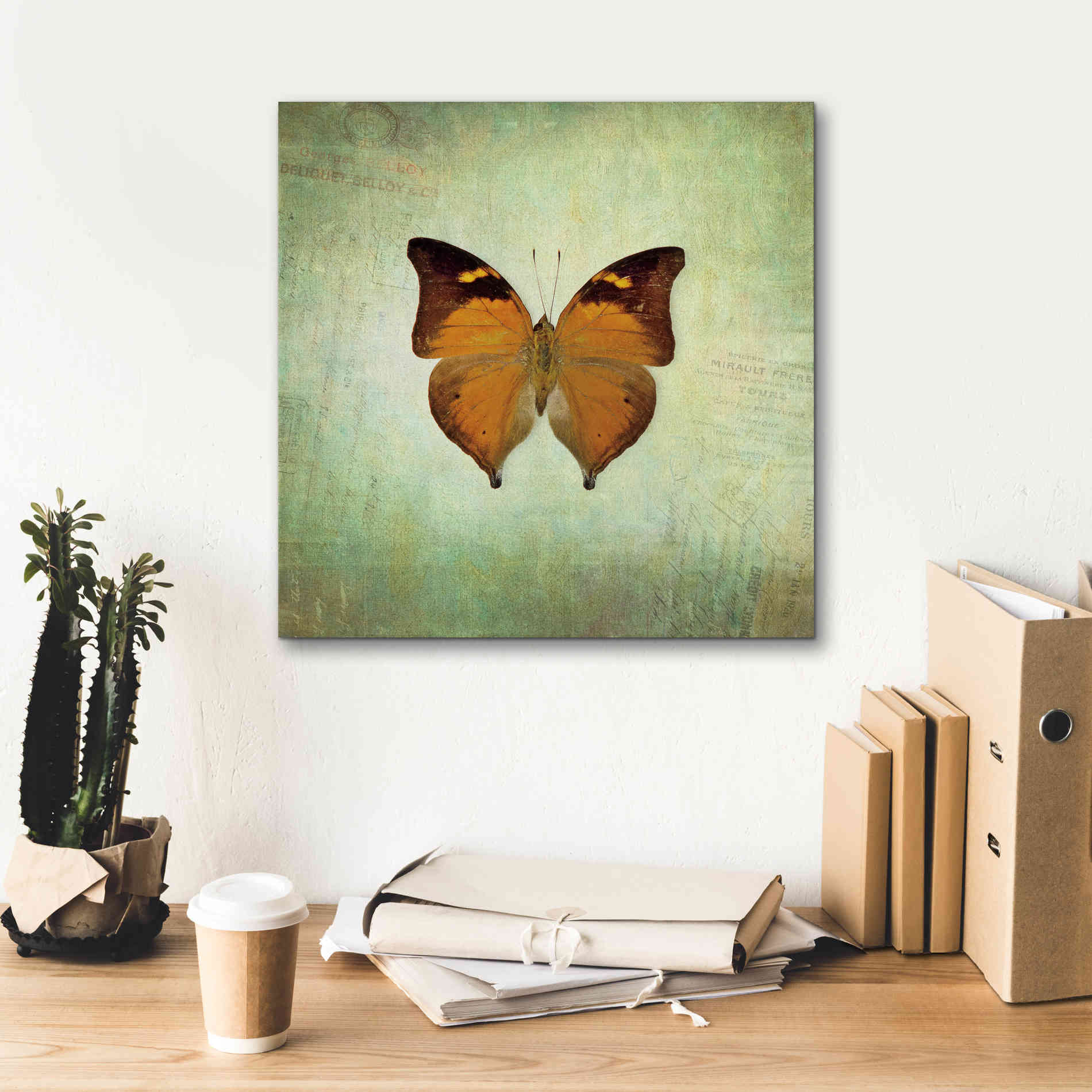 'French Butterfly VII' by Debra Van Swearingen, Canvas Wall Art,18 x 18