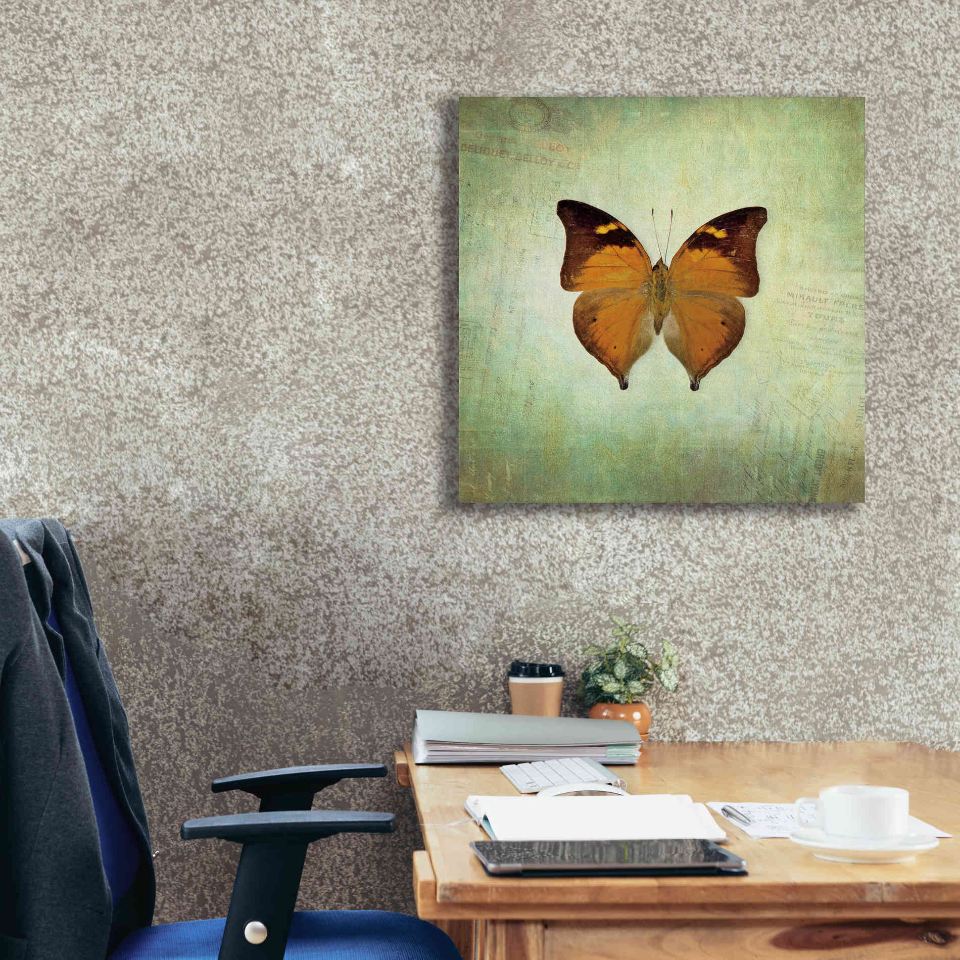 'French Butterfly VII' by Debra Van Swearingen, Canvas Wall Art,26 x 26