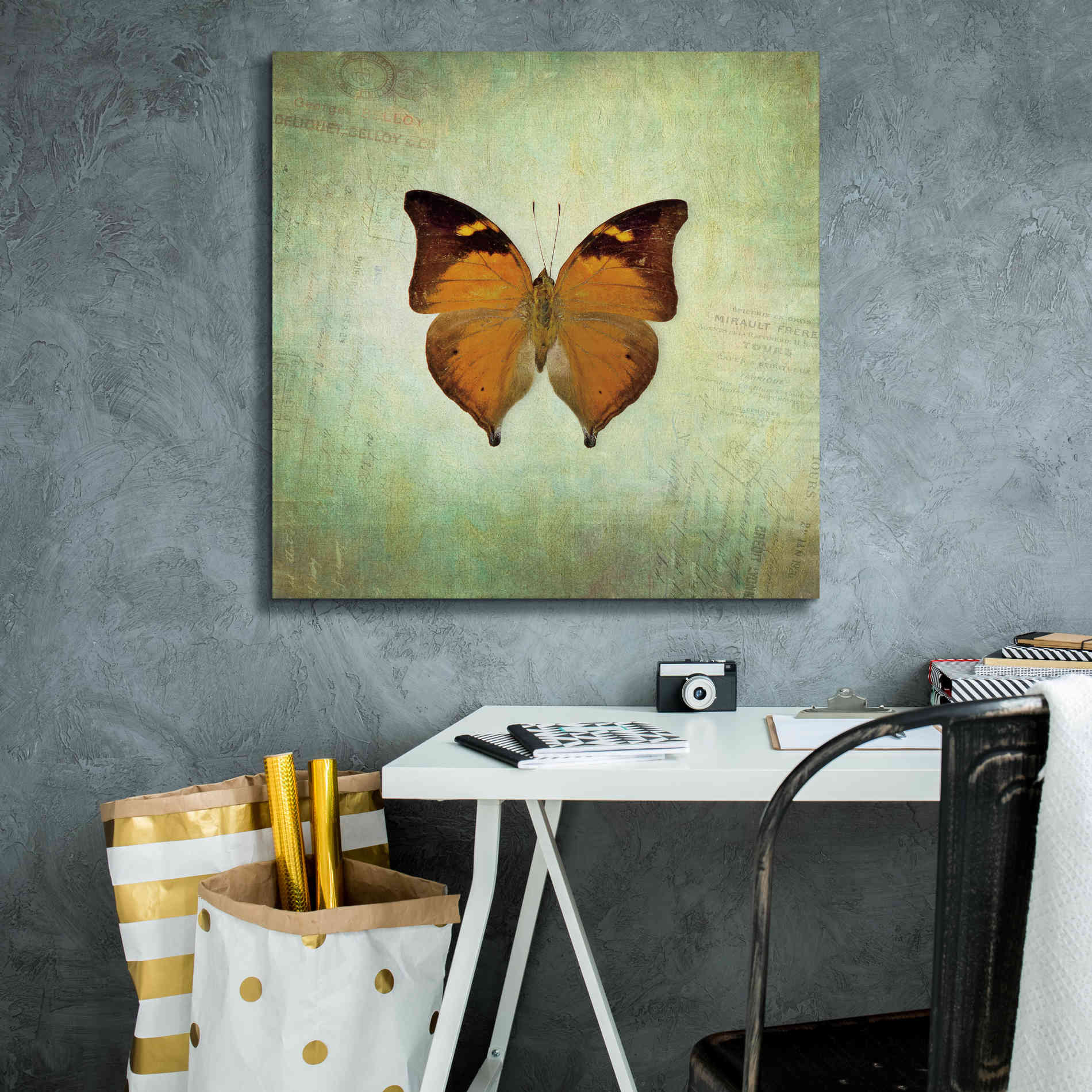 'French Butterfly VII' by Debra Van Swearingen, Canvas Wall Art,26 x 26