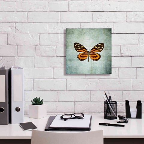 Image of 'French Butterfly VIII' by Debra Van Swearingen, Canvas Wall Art,12 x 12