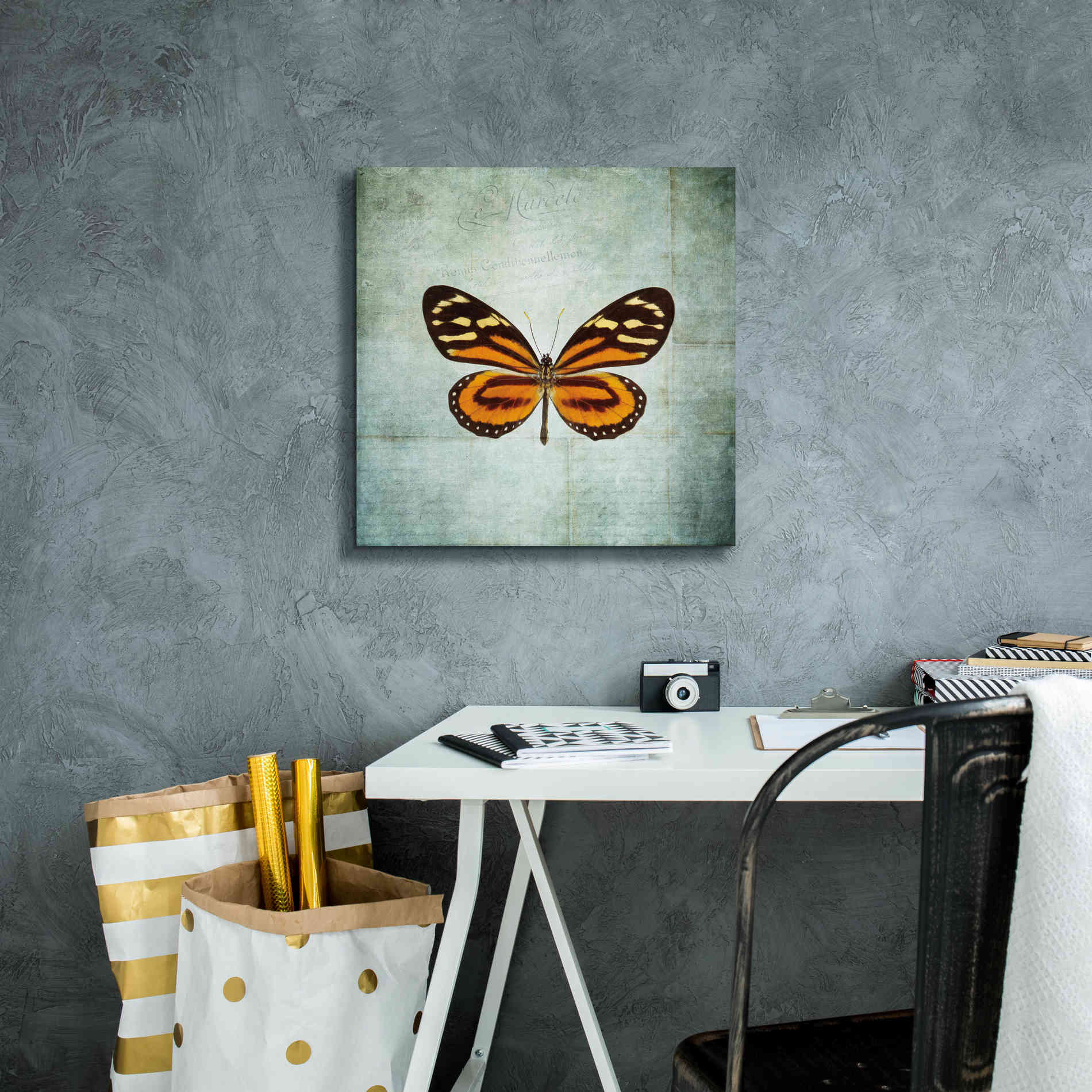 'French Butterfly VIII' by Debra Van Swearingen, Canvas Wall Art,18 x 18