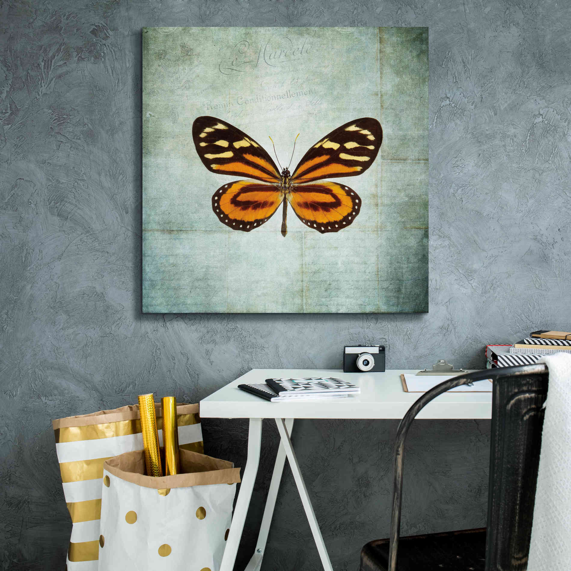 'French Butterfly VIII' by Debra Van Swearingen, Canvas Wall Art,26 x 26