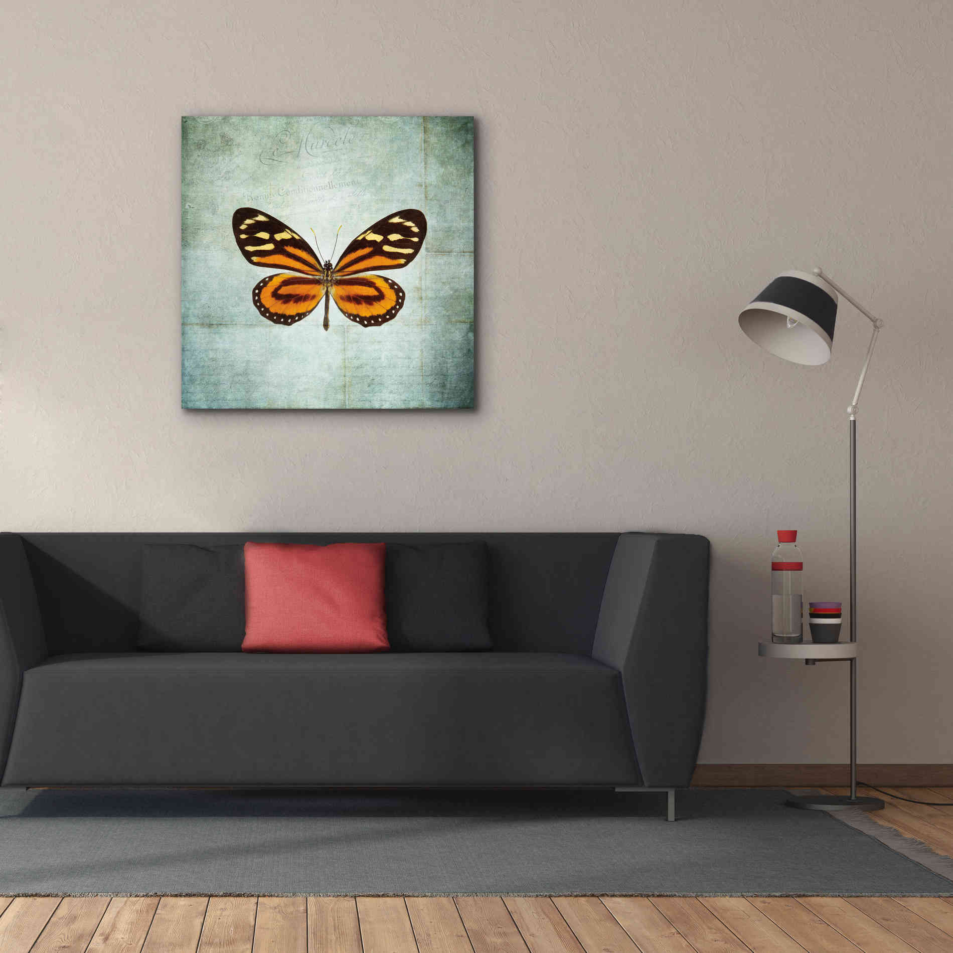 'French Butterfly VIII' by Debra Van Swearingen, Canvas Wall Art,37 x 37