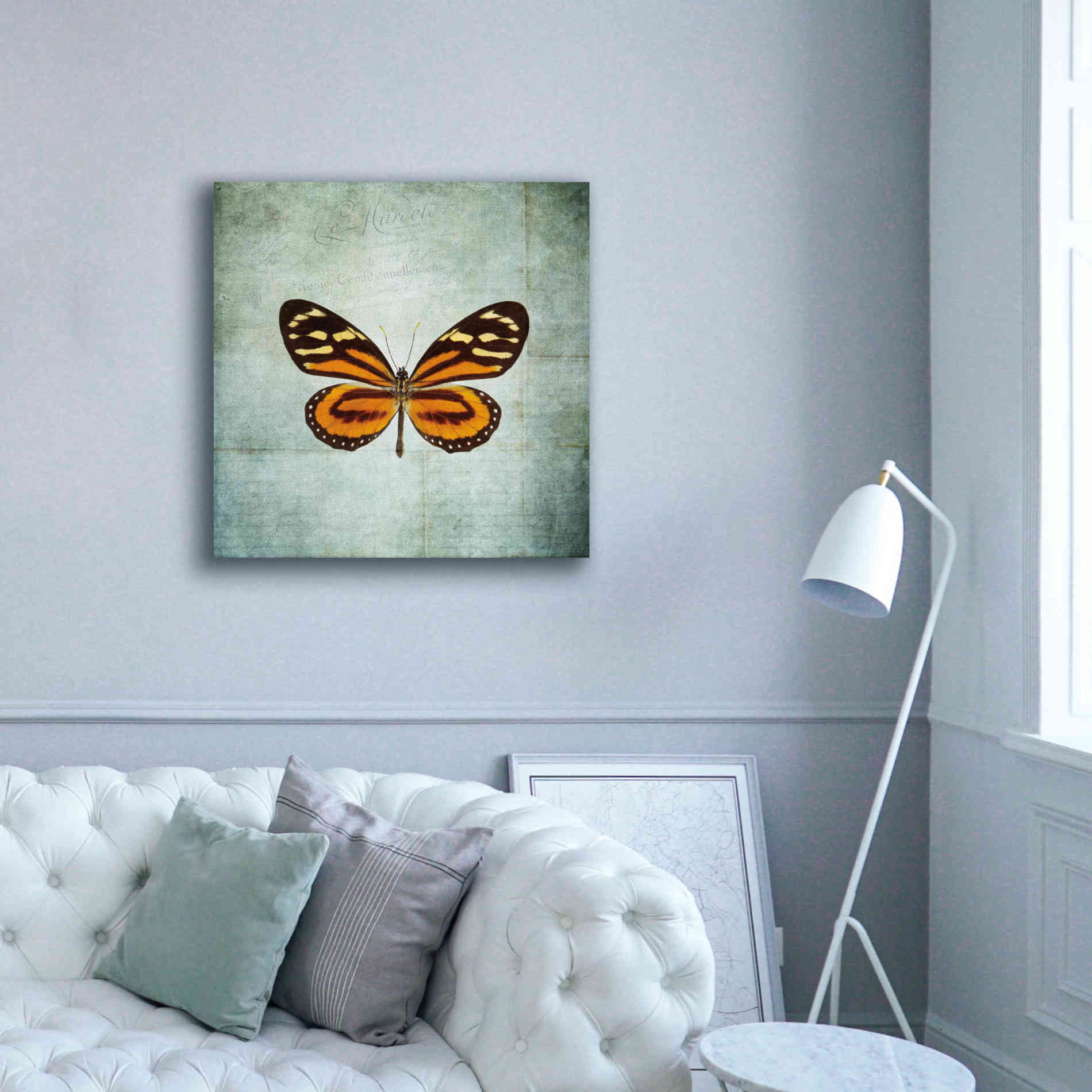 'French Butterfly VIII' by Debra Van Swearingen, Canvas Wall Art,37 x 37