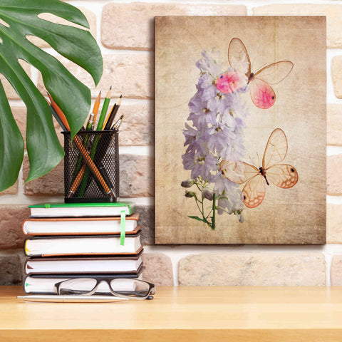 Image of 'Butterfly Botanical I' by Debra Van Swearingen, Canvas Wall Art,12 x 16