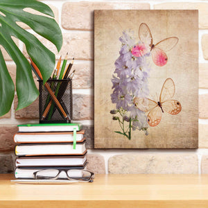 'Butterfly Botanical I' by Debra Van Swearingen, Canvas Wall Art,12 x 16
