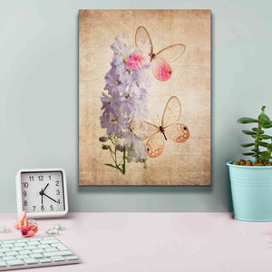 'Butterfly Botanical I' by Debra Van Swearingen, Canvas Wall Art,12 x 16