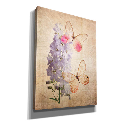 Image of 'Butterfly Botanical I' by Debra Van Swearingen, Canvas Wall Art,12x16x1.1x0,20x24x1.1x0,26x30x1.74x0,40x54x1.74x0