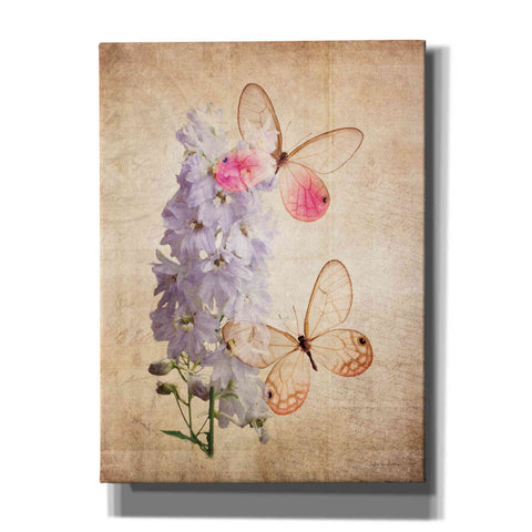 Image of 'Butterfly Botanical I' by Debra Van Swearingen, Canvas Wall Art,12x16x1.1x0,20x24x1.1x0,26x30x1.74x0,40x54x1.74x0