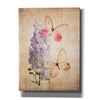 'Butterfly Botanical I' by Debra Van Swearingen, Canvas Wall Art,12x16x1.1x0,20x24x1.1x0,26x30x1.74x0,40x54x1.74x0