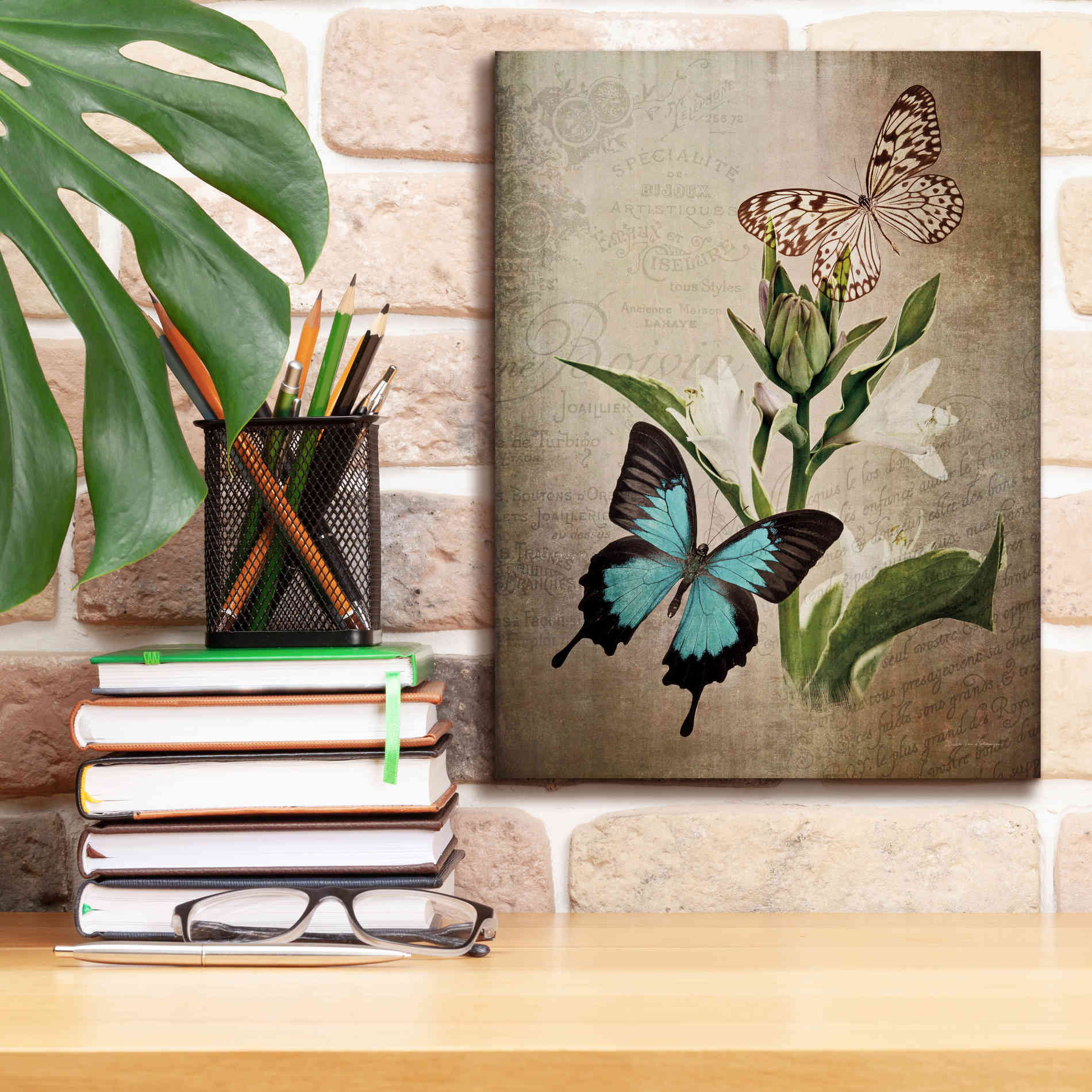 'Butterfly Botanical II' by Debra Van Swearingen, Canvas Wall Art,12 x 16