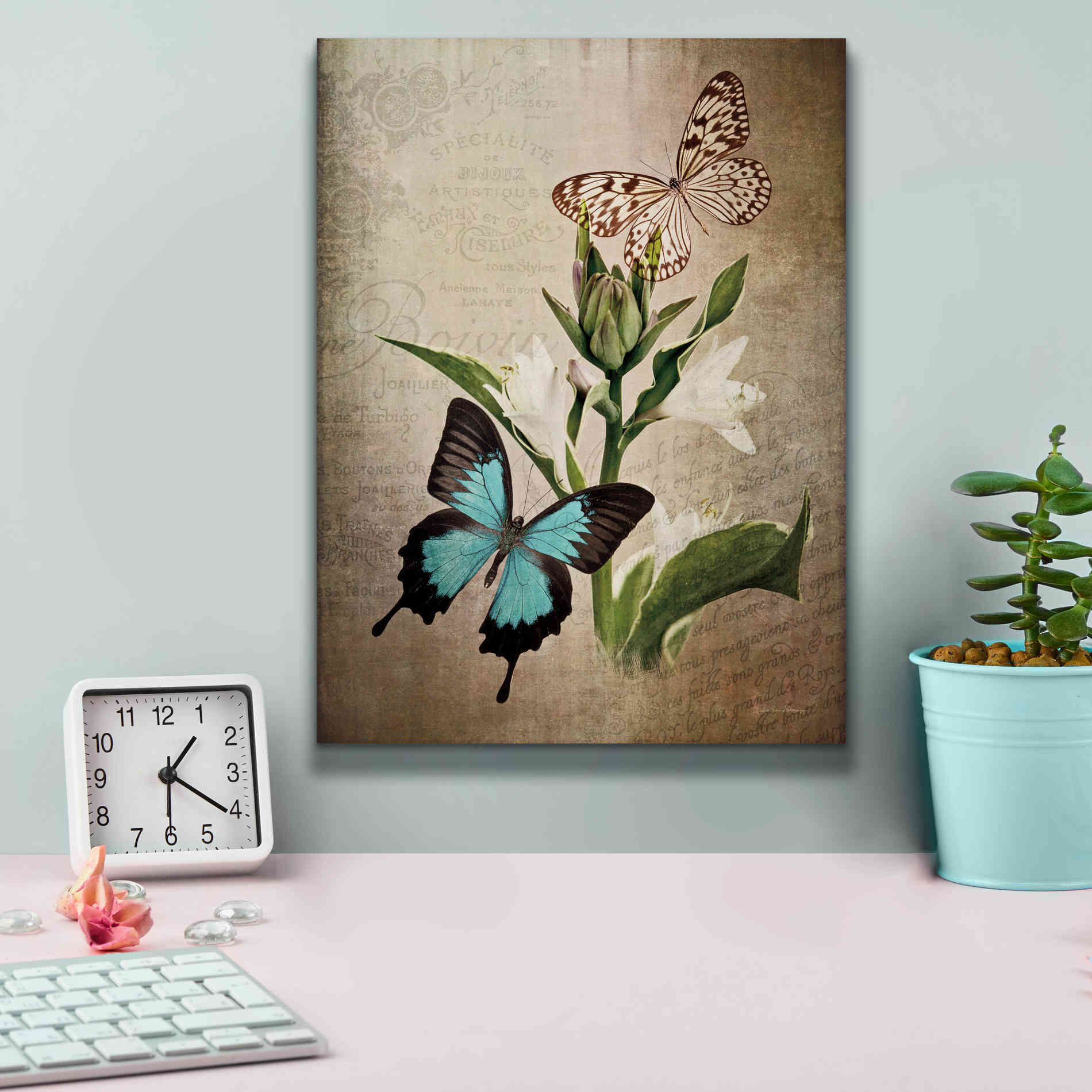'Butterfly Botanical II' by Debra Van Swearingen, Canvas Wall Art,12 x 16