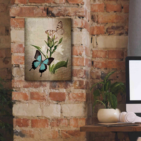 Image of 'Butterfly Botanical II' by Debra Van Swearingen, Canvas Wall Art,12 x 16