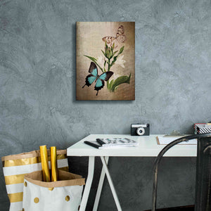 'Butterfly Botanical II' by Debra Van Swearingen, Canvas Wall Art,12 x 16