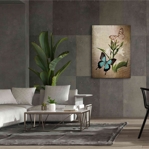 Image of 'Butterfly Botanical II' by Debra Van Swearingen, Canvas Wall Art,40 x 54
