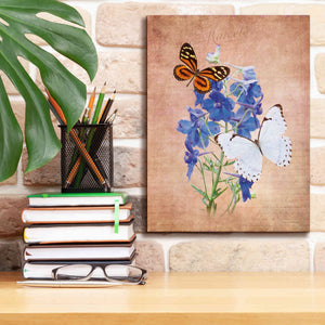 'Butterfly Botanical III' by Debra Van Swearingen, Canvas Wall Art,12 x 16