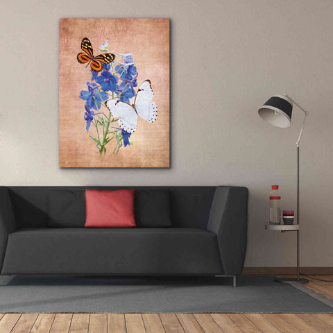 Image of 'Butterfly Botanical III' by Debra Van Swearingen, Canvas Wall Art,40 x 54