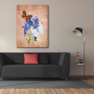 'Butterfly Botanical III' by Debra Van Swearingen, Canvas Wall Art,40 x 54