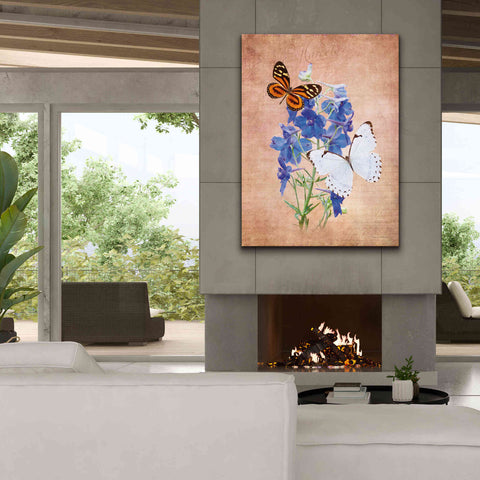 Image of 'Butterfly Botanical III' by Debra Van Swearingen, Canvas Wall Art,40 x 54