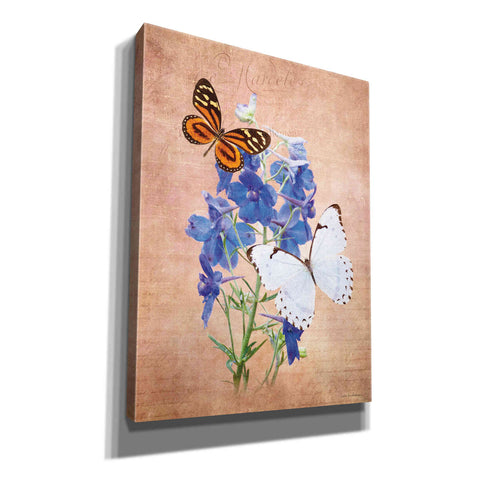Image of 'Butterfly Botanical III' by Debra Van Swearingen, Canvas Wall Art,12x16x1.1x0,20x24x1.1x0,26x30x1.74x0,40x54x1.74x0