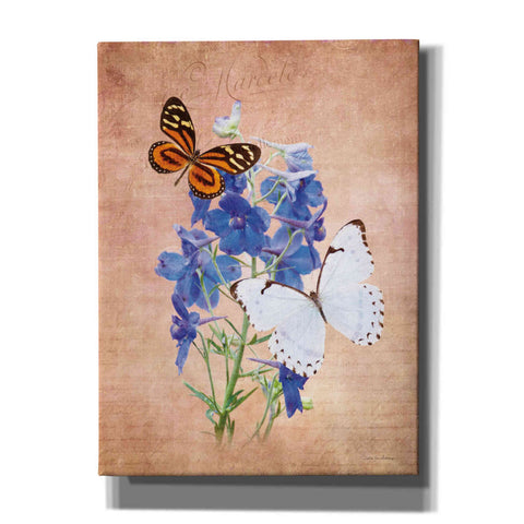 Image of 'Butterfly Botanical III' by Debra Van Swearingen, Canvas Wall Art,12x16x1.1x0,20x24x1.1x0,26x30x1.74x0,40x54x1.74x0