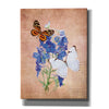 'Butterfly Botanical III' by Debra Van Swearingen, Canvas Wall Art,12x16x1.1x0,20x24x1.1x0,26x30x1.74x0,40x54x1.74x0