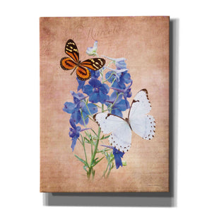 'Butterfly Botanical III' by Debra Van Swearingen, Canvas Wall Art,12x16x1.1x0,20x24x1.1x0,26x30x1.74x0,40x54x1.74x0