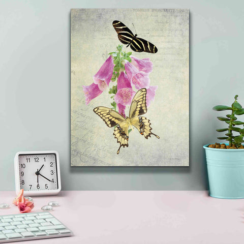Image of 'Butterfly Botanical IV' by Debra Van Swearingen, Canvas Wall Art,12 x 16